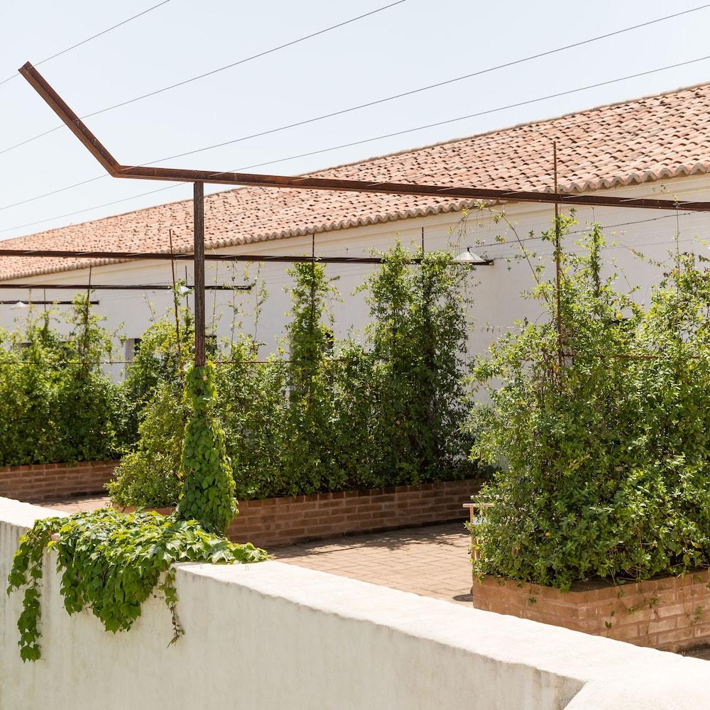 Sao Lourenco Do Barrocal Monsaraz Exterior photo